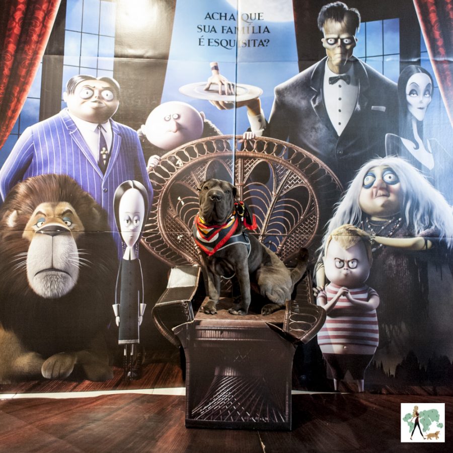 cachorro sentado em cadeira com o cartaz da Família Adams ao fundo
