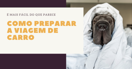 Capa do Guia de Viagem Pet
