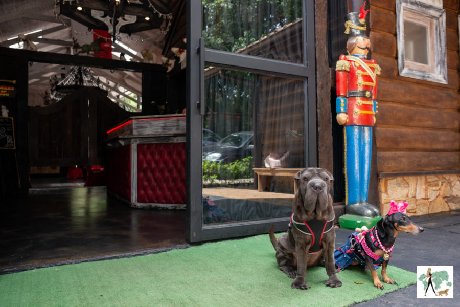 hotel pet friendly em Campos do Jordão