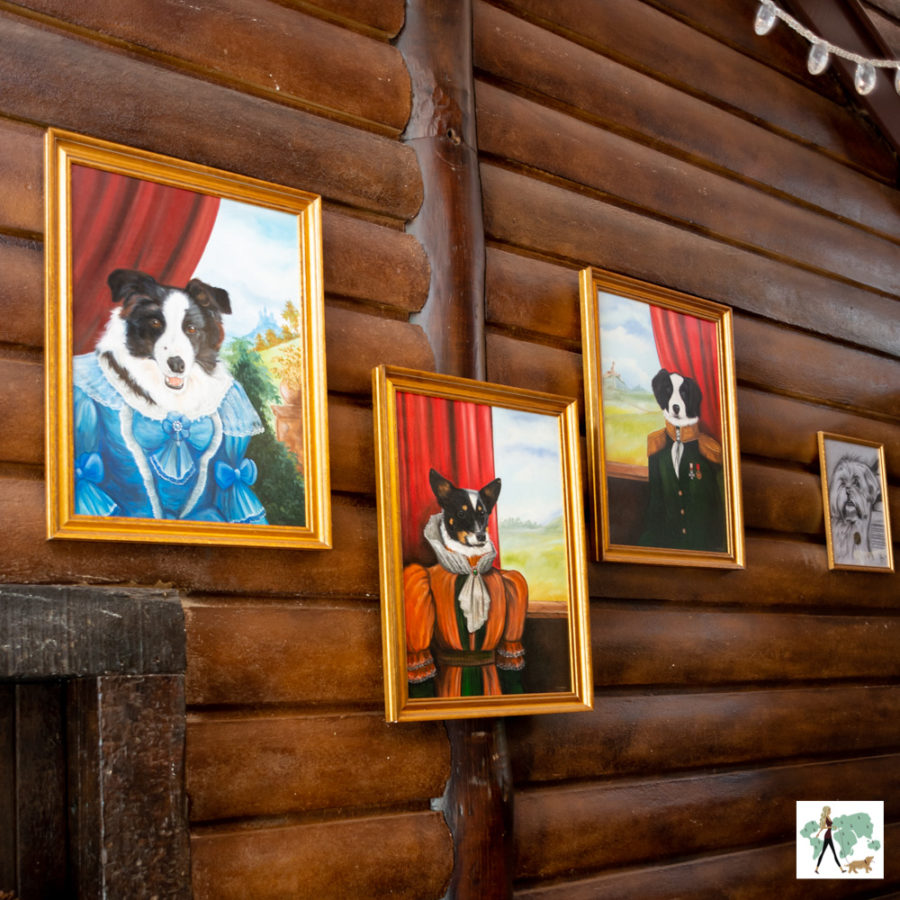cachorros no Rancho La Florida em Campos do Jordão