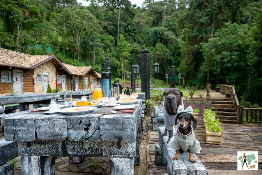 hotel pet friendly em Campos do Jordão