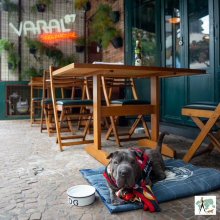 Restaurantes pet friendly Moema
