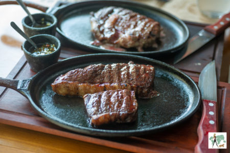Restaurantes pet friendly Moema