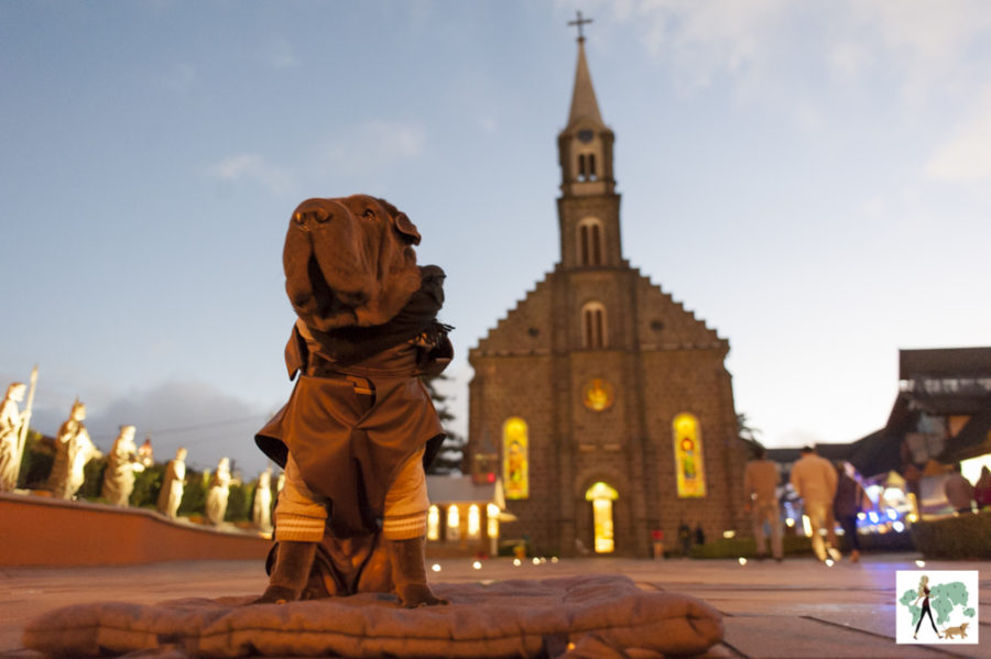 cachorro sentado em frente da igreja de Gramado