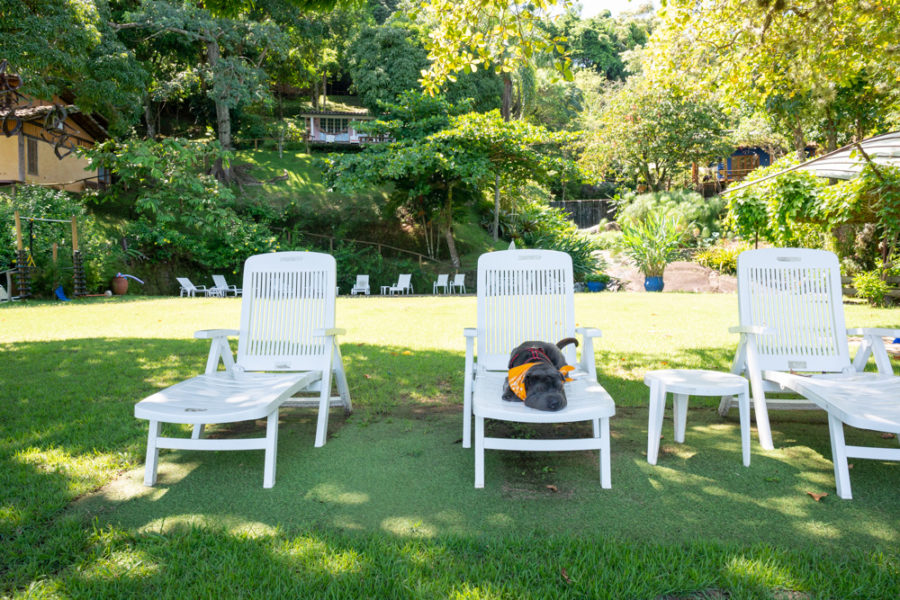 Pousada pet friendly Ilhabela