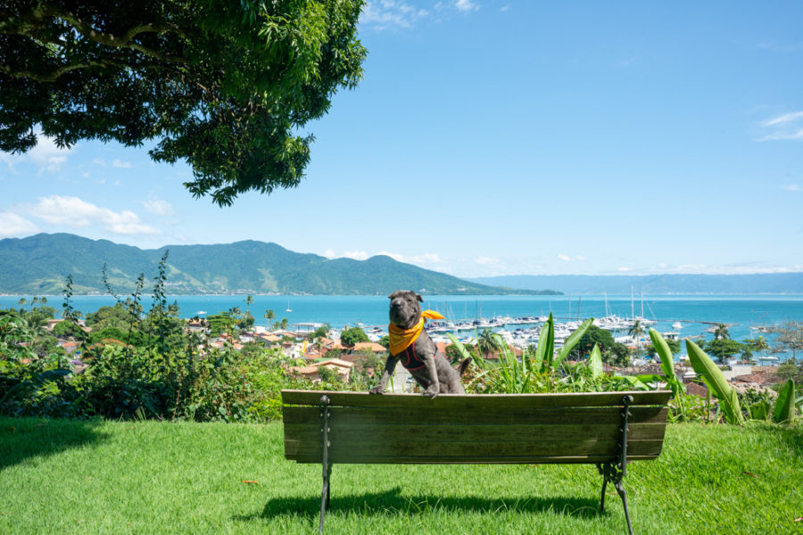 Pousada pet friendly Ilhabela
