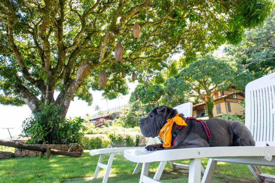 Pousada pet friendly Ilhabela