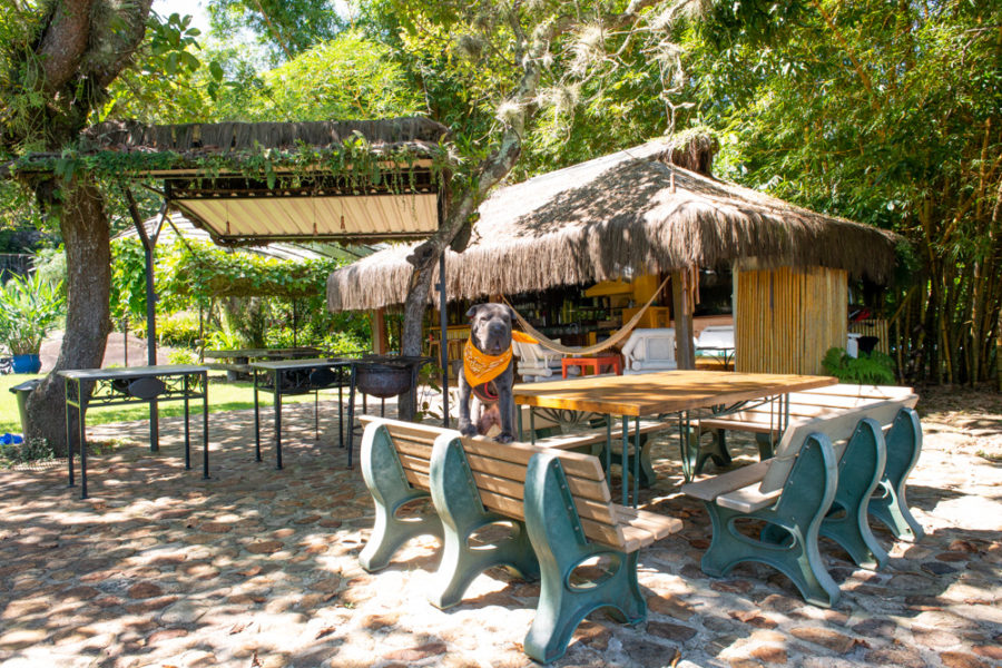 Pousada pet friendly Ilhabela