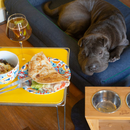 Pet Friendly em Moema