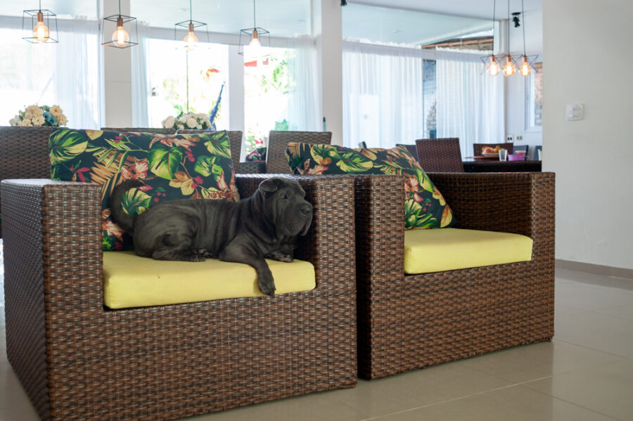 Casa pet friendly em Maresias