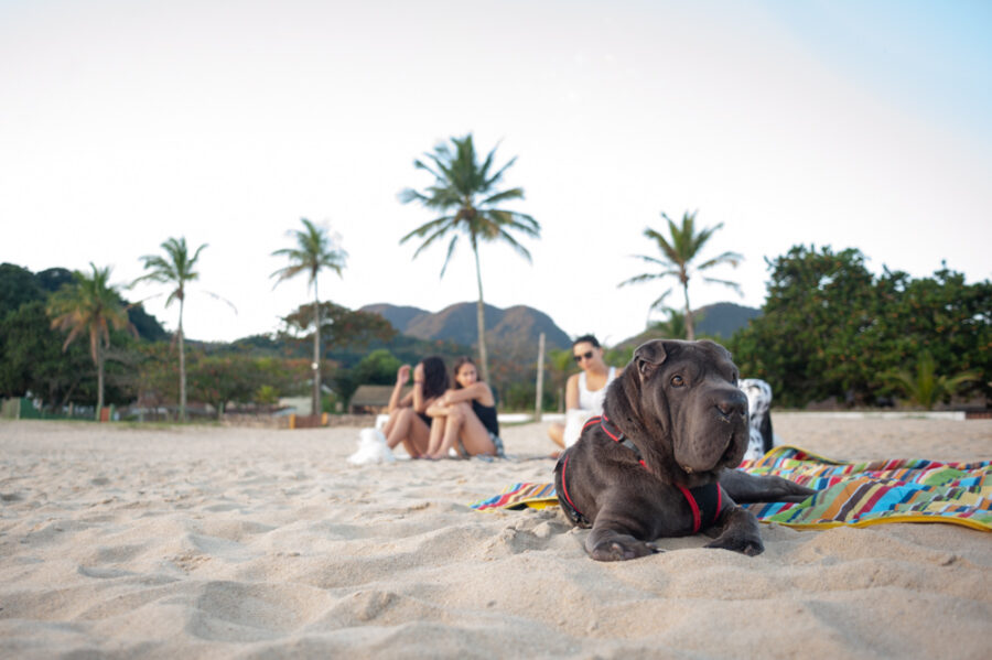 Casa pet friendly em Maresias