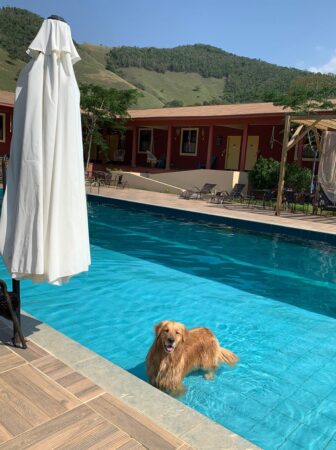 Pousada pet friendly no Rio de Janeiro