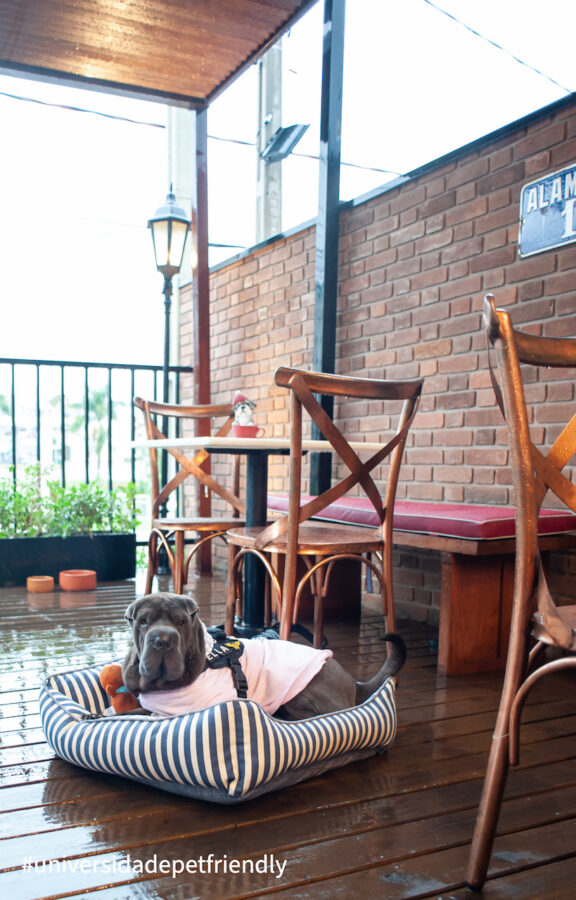 Pet friendly em Americana