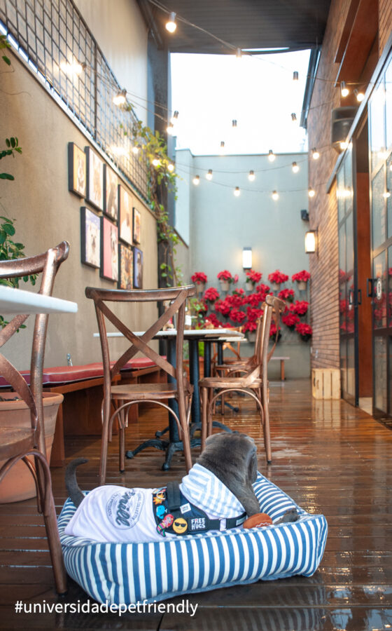 Pet friendly em Americana