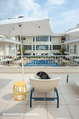 Hotel que aceita pets no Guarujá