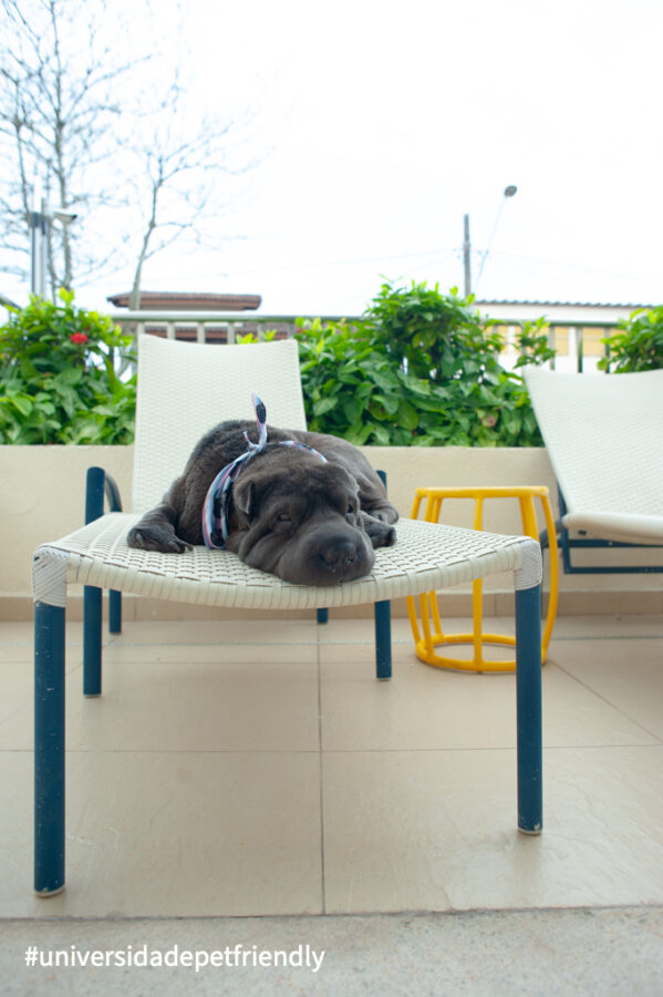 Hotel que aceita pets no Guarujá