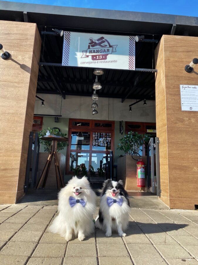 Guararema é pet friendly