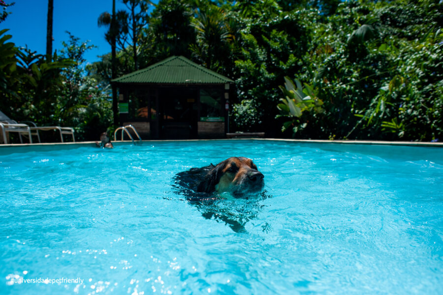 Pousada pet friendly em Camburi