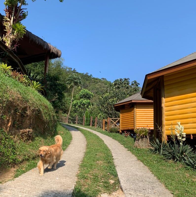 Pousada pet friendly em Minas Gerais