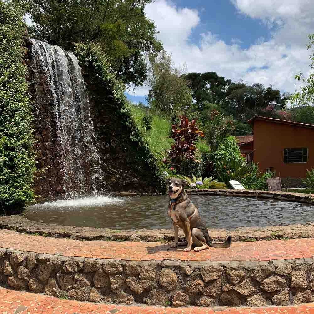 Pousada em Atibaia que aceita pet