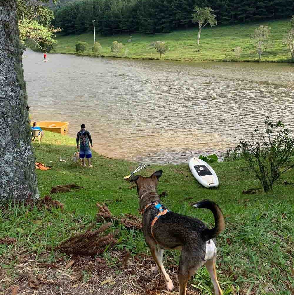 Pousada em Atibaia que aceita pet