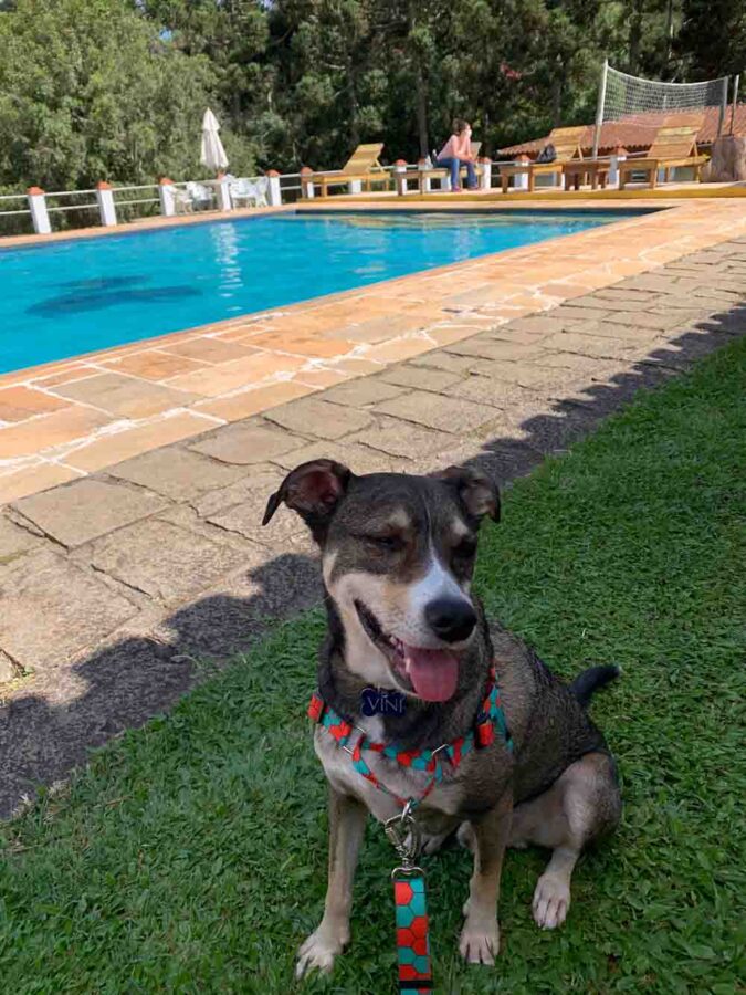 Pousada em Atibaia Pet Friendly