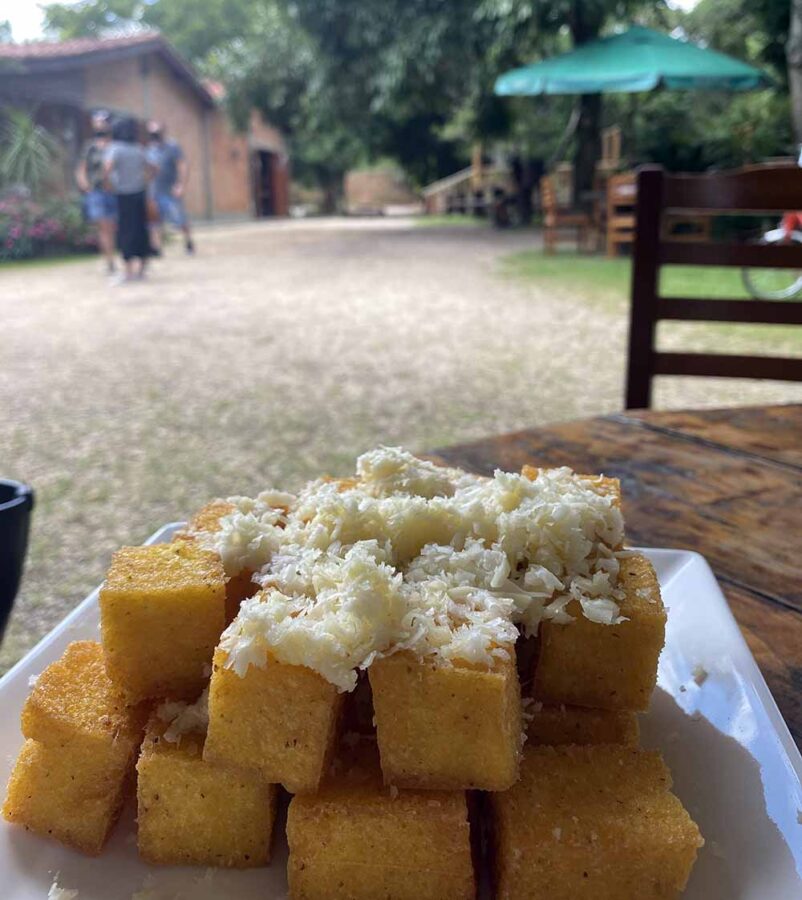 Restaurante Pet Friendly em Jundiaí