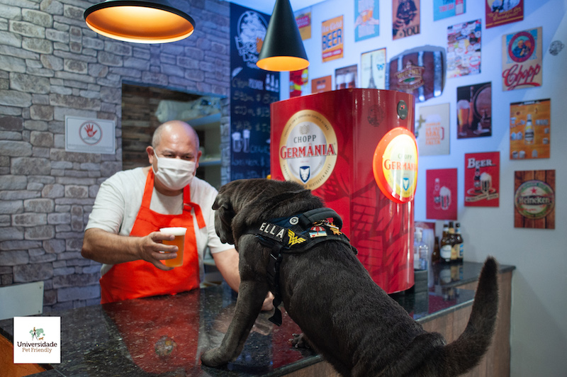 Cachorrodromo de SP