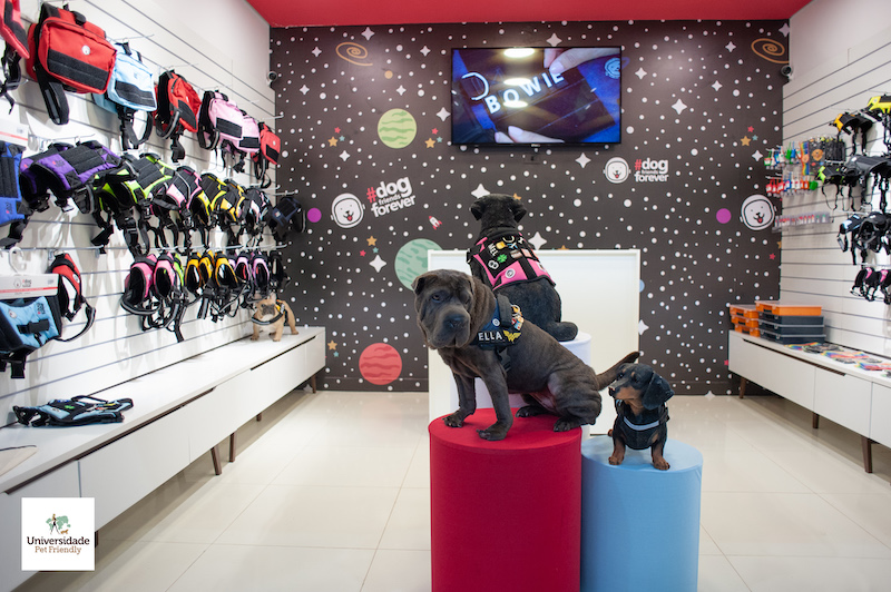 Cachorrodromo de SP