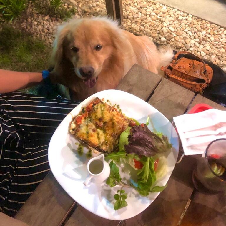 Hamburgueria pet friendly em Floripa