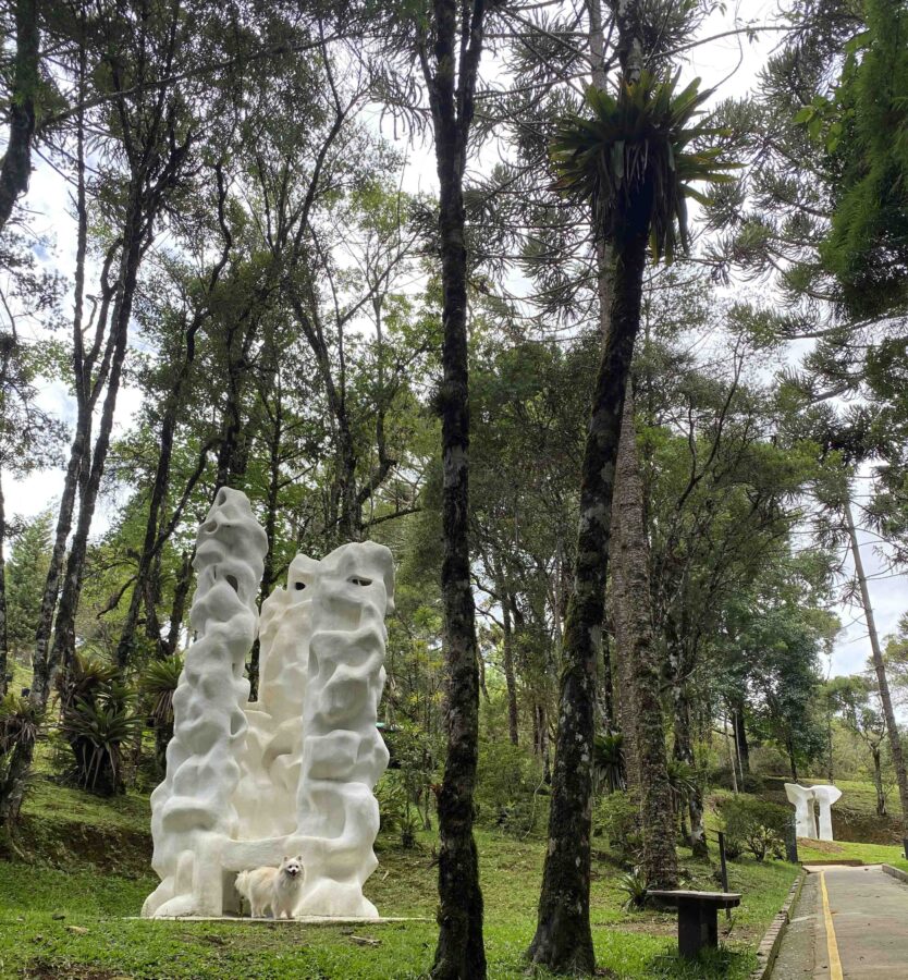 museu pet friendly em campos do jordão