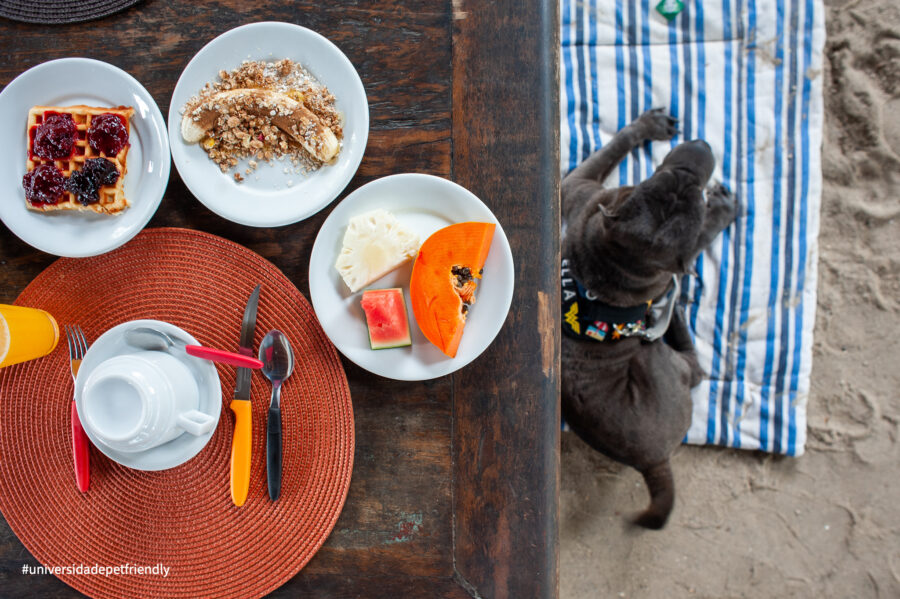 Pousada pet friendly em Camburi