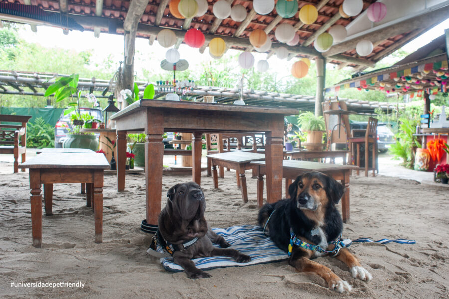 Pousada pet friendly em Camburi
