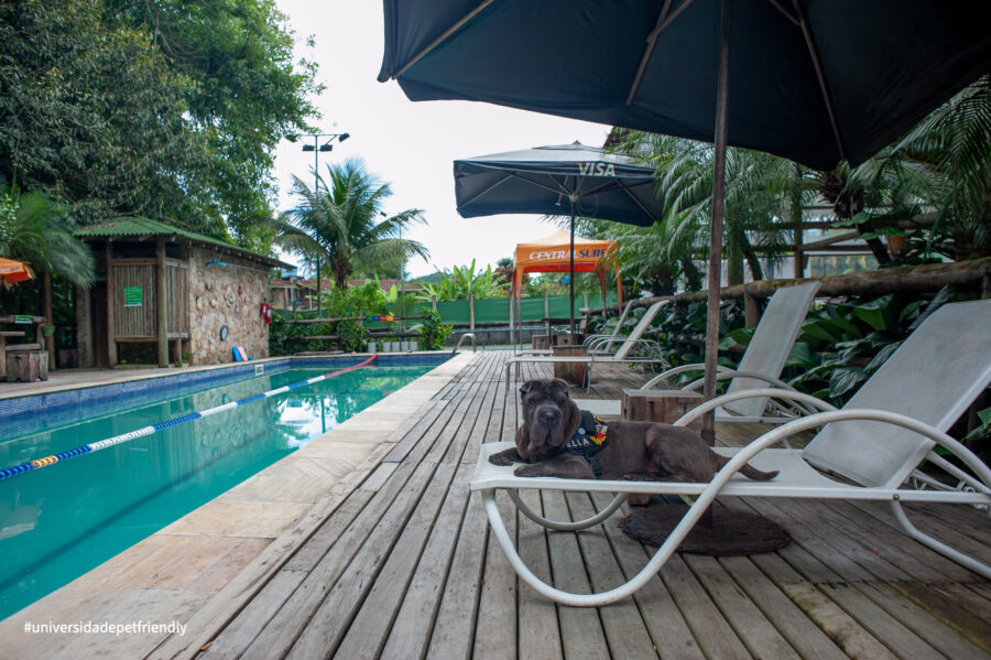 Pousada pet friendly em Camburi