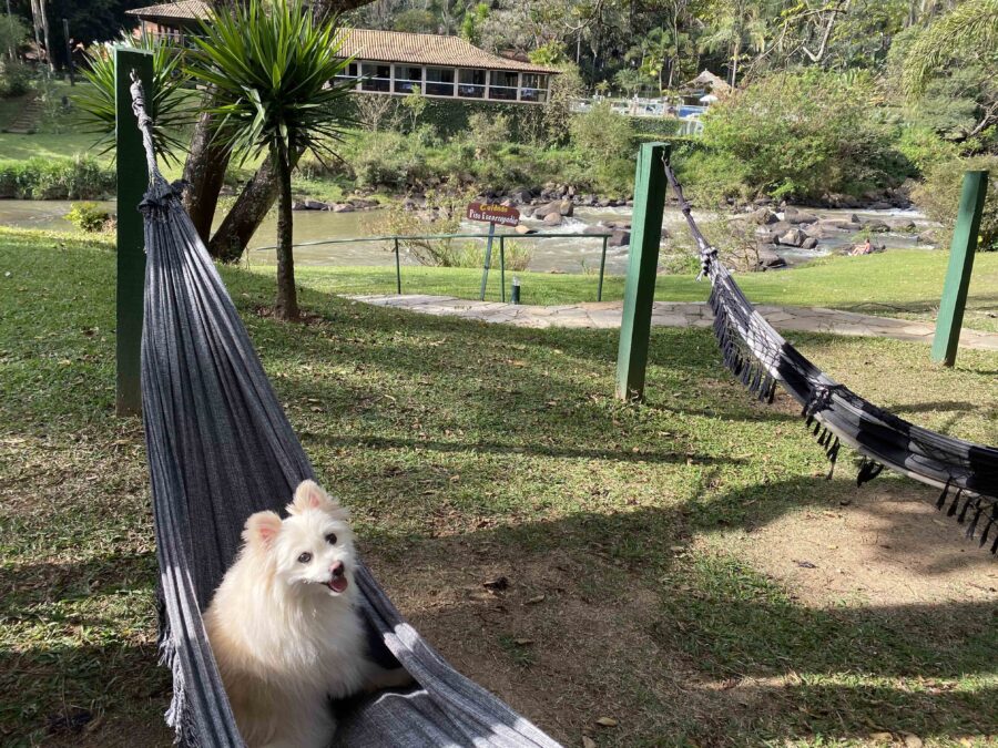 Hotel Pet Friendly em Socorro