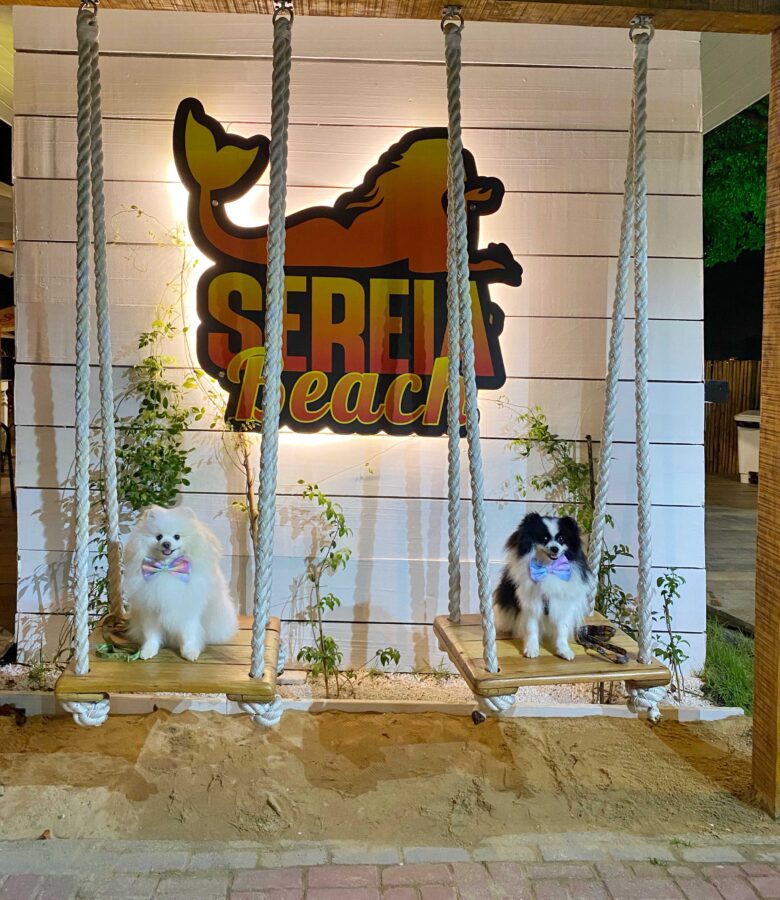 Restaurante Pet Friendly em Ilha Bela Restaurante Pet Friendly em Ilha Bela