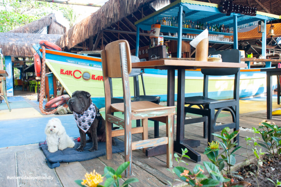 Restaurante pet friendly Guarujá