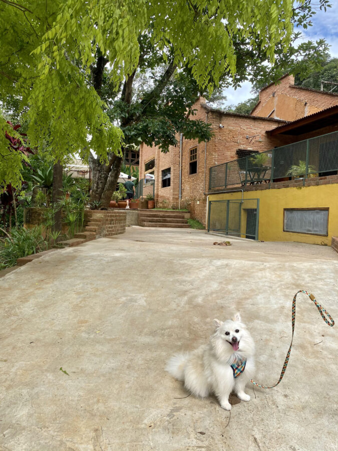 Restaurante pet friendly em Santo Antônio do Pinhal