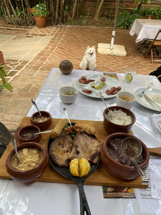 Restaurante pet friendly em Santo Antônio do Pinhal