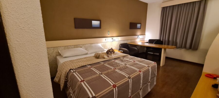Hotel pet friendly em Santa Catarina