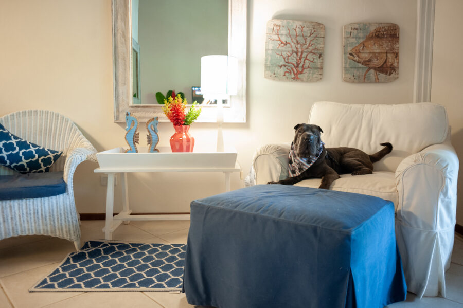 Casa para alugar pet friendly Maresias