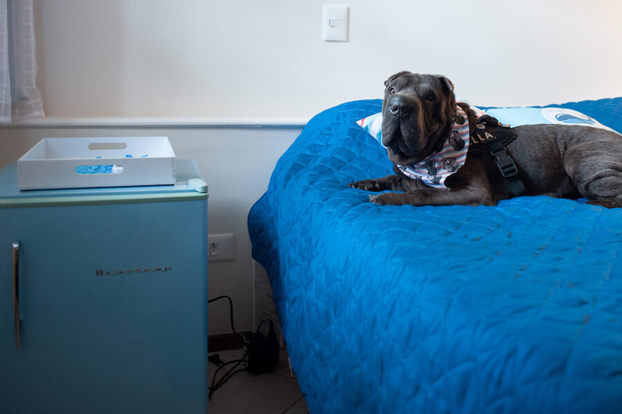 Casa para alugar pet friendly Maresias