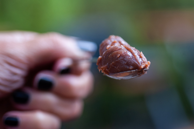 colher de brigadeiro do Duas Terezas