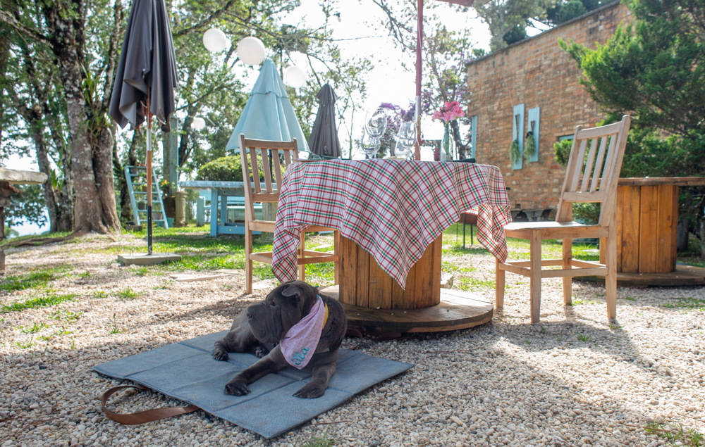 Vecchia Toscana, restaurante Italiano em Campos do Jordão Guia Pet