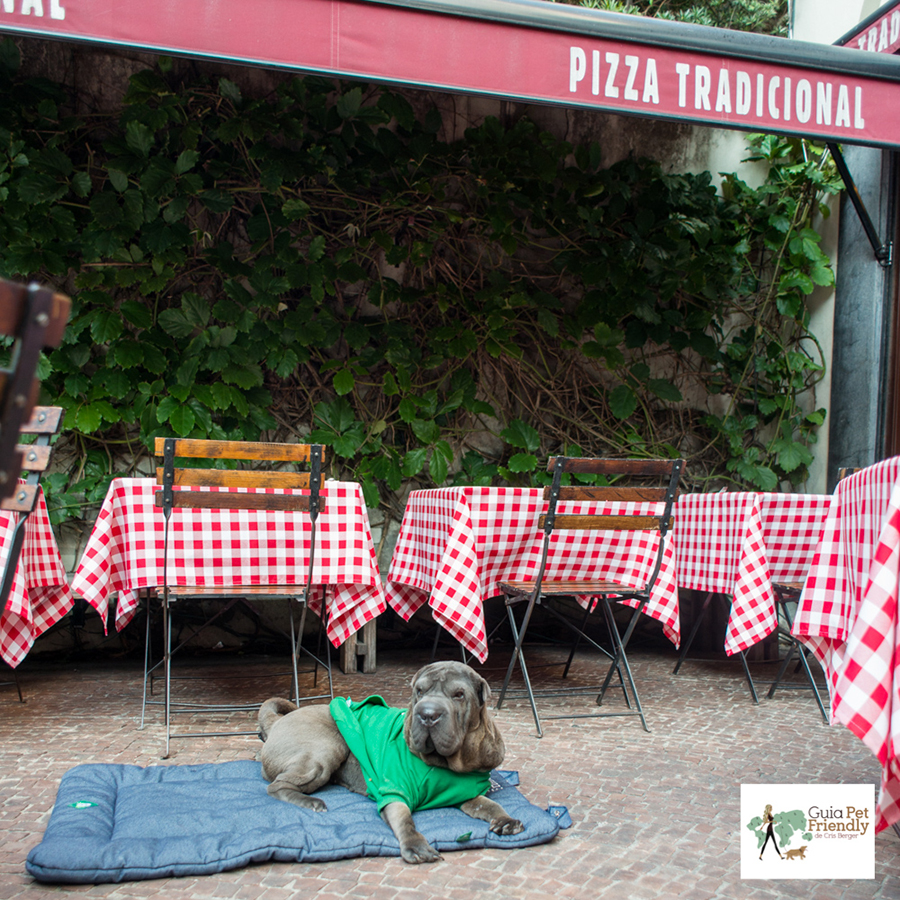 pizzaria pet friendly pinheiros - Guia Pet Friendly