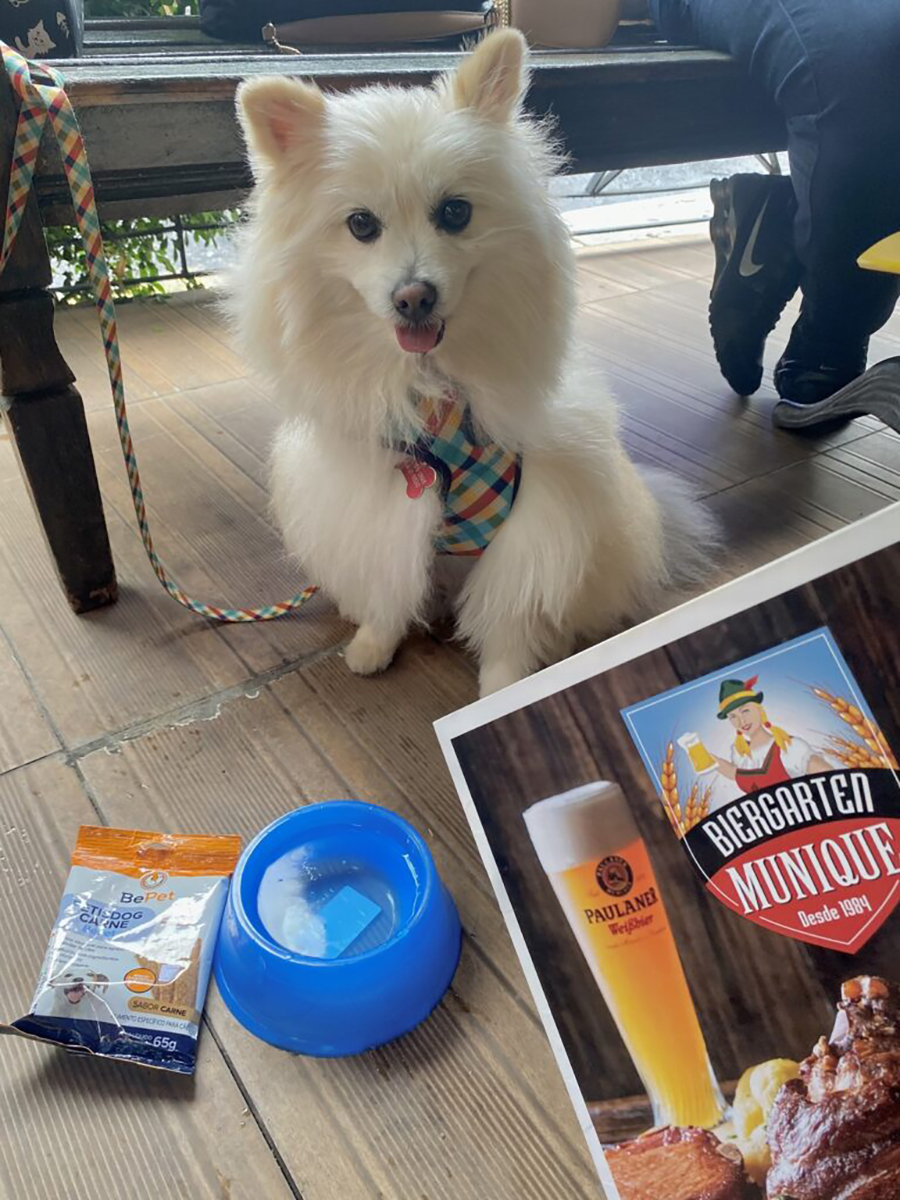 Biergarten Munique - Guia Pet Friendly