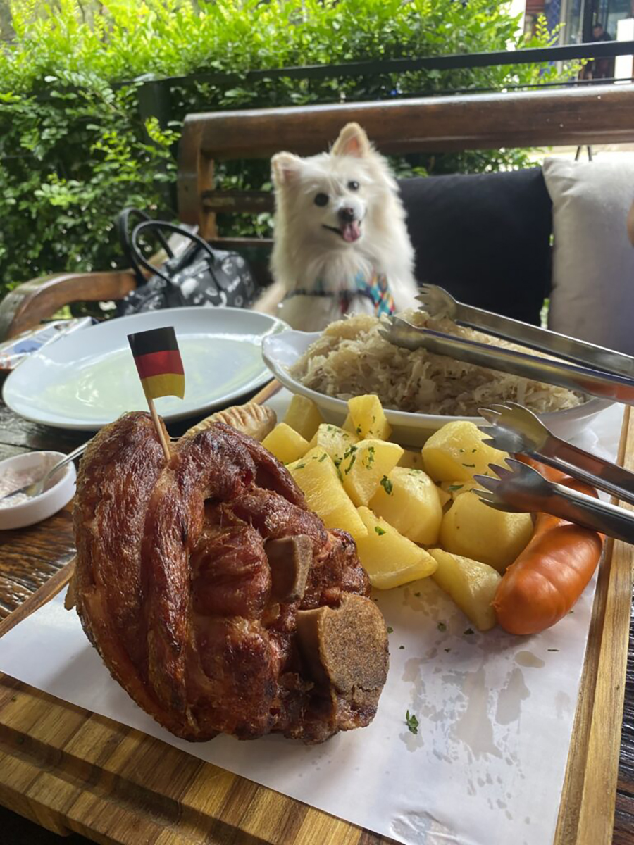 Biergarten Munique - Guia Pet Friendly