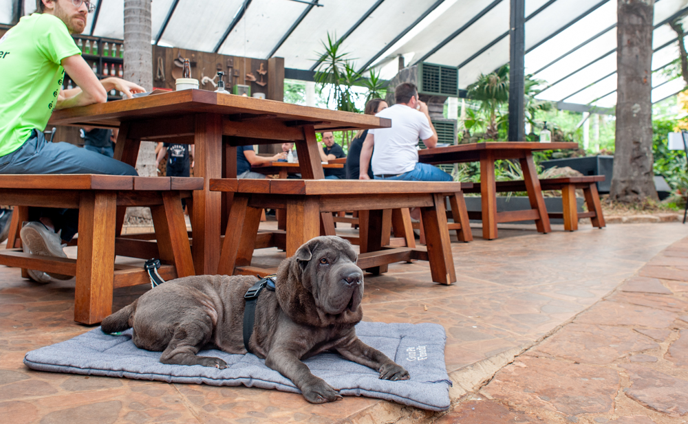 churrascaria em campinas com playground