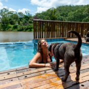 10 hotéis e pousadas pet friendly em SP