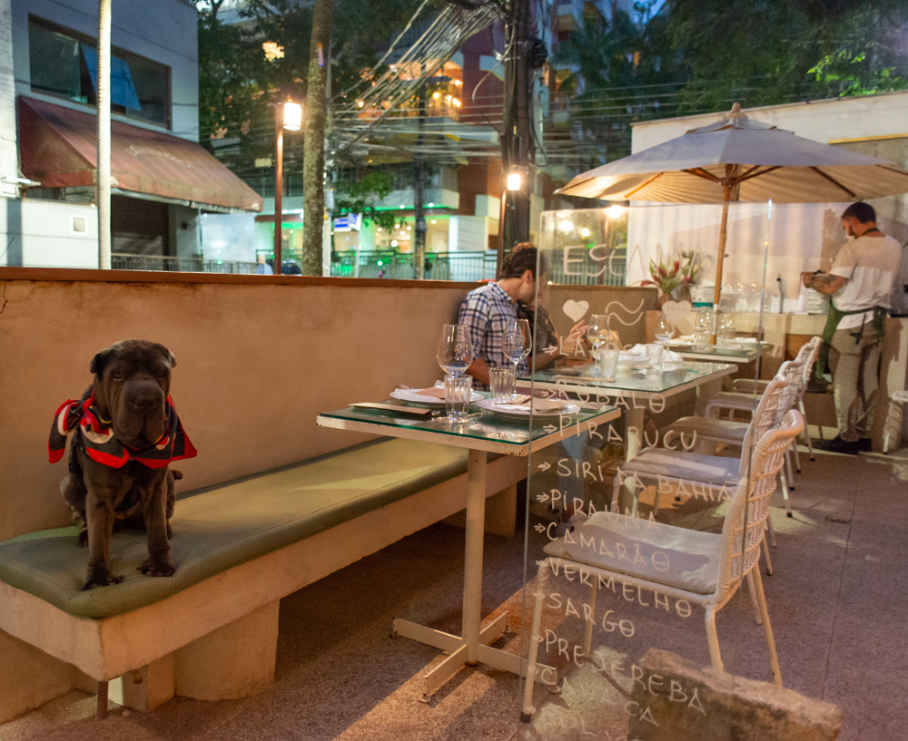 10-restaurantes-pet-friendly-no-rio